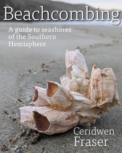 Cover of Beachcombing: A guide to seashores of the Southern Hemisphere