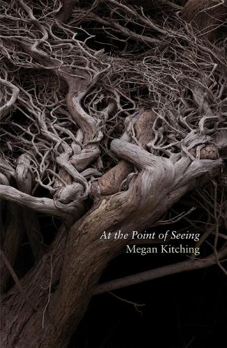 Cover of At the Point of Seeing