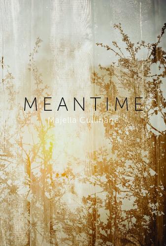 Cover of Meantime