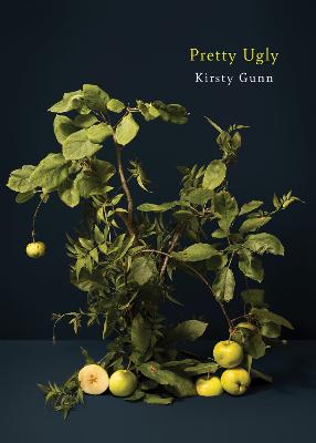 Cover of Pretty Ugly