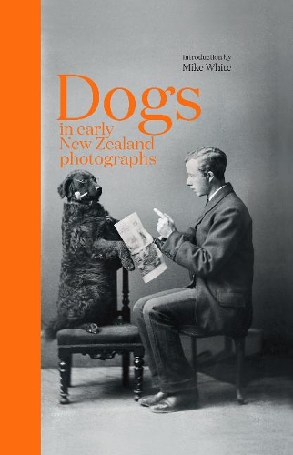 Cover of Dogs in Early New Zealand Photographs