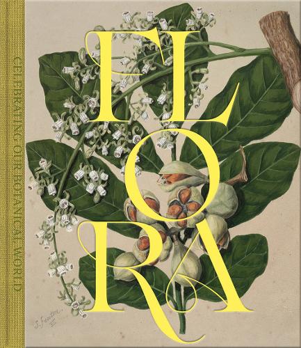 Cover of Flora: Celebrating Our Botanical World