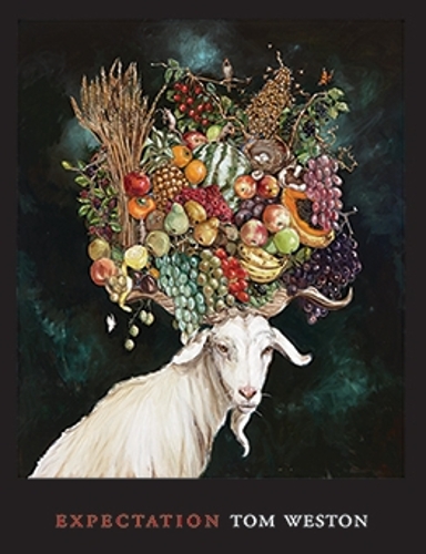 Cover of Expectation