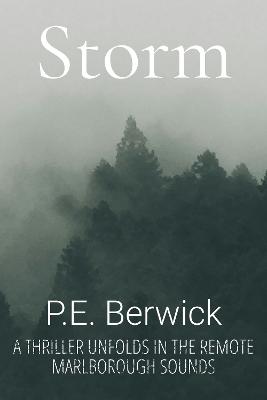 Cover of Storm: A thriller unfolds in the remote Marlborough Sounds