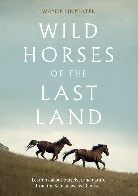 Cover of Wild Horses of the Last Land