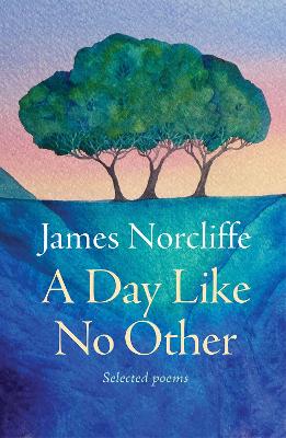 Cover of A Day Like No Other